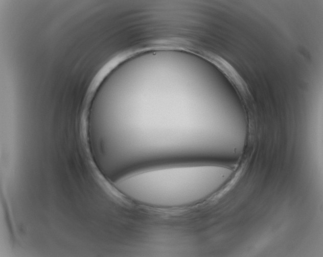X0000114411196200910161024