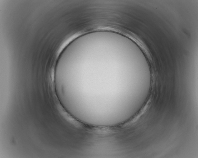 X0000114411198200910161024