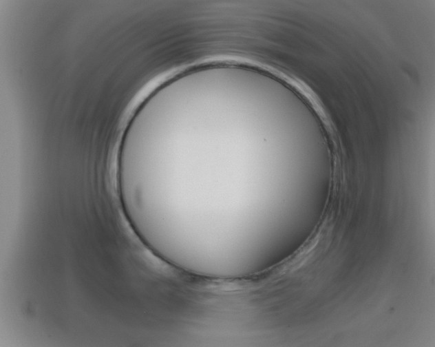 X0000114411199200910161024