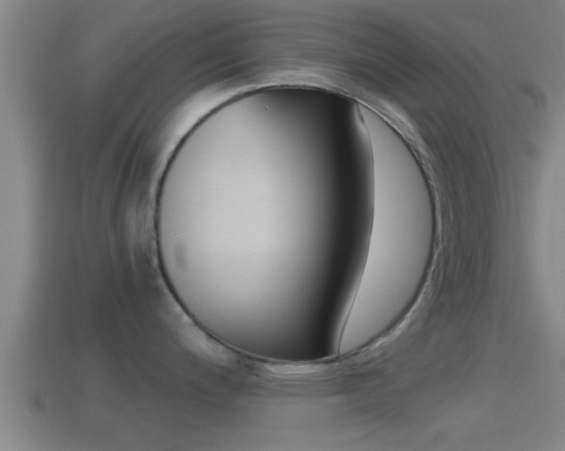 X0000114411200200910161024