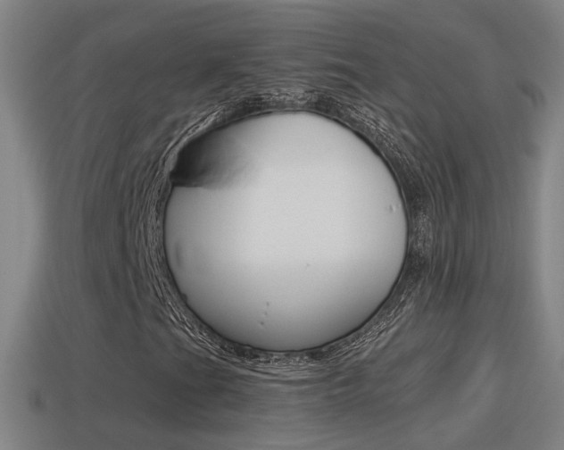 X0000114411201200910161024