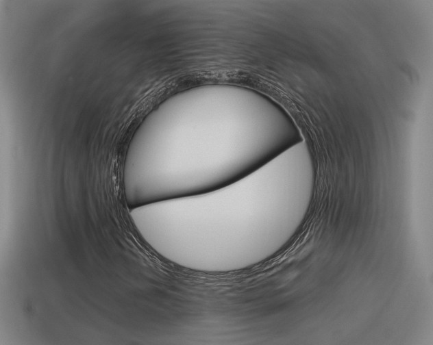 X0000114411202200910161024