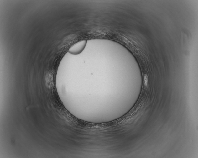 X0000114411203200910161024