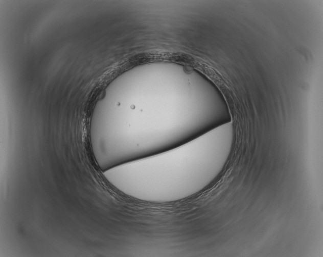X0000114411204200910161024