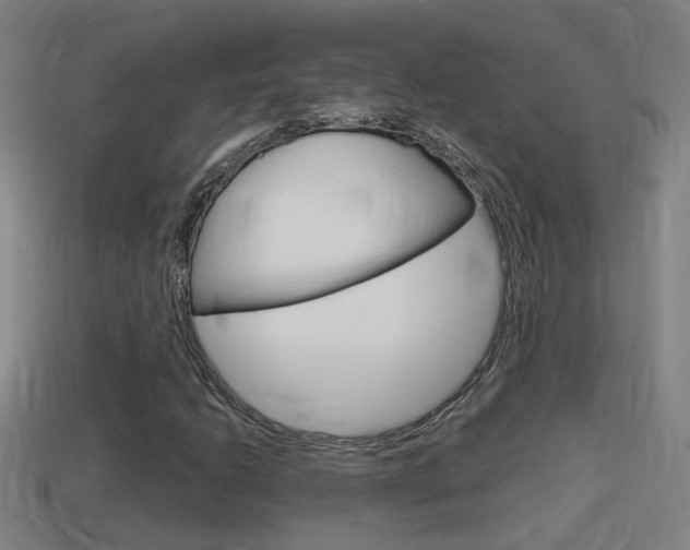 X0000114411206200910161024