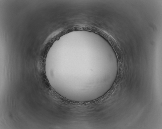 X0000114411207200910161024