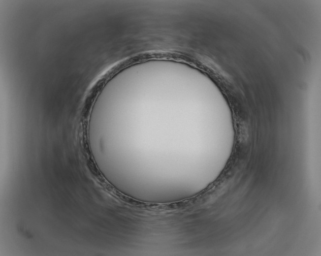 X0000114411208200910161024