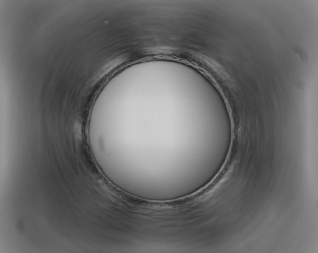 X0000114411209200910161024
