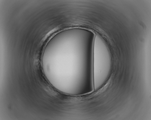 X0000114411210200910161024