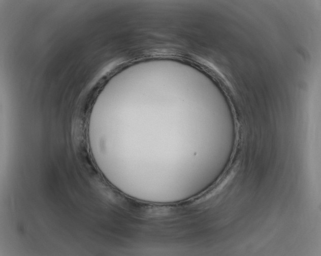 X0000114411211200910161024