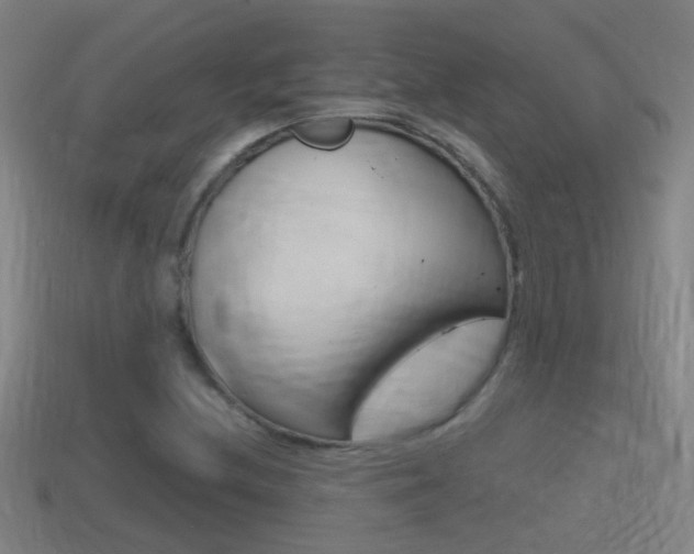 X0000114411212200910161024