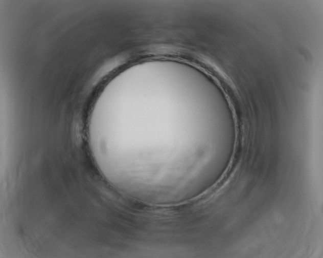 X0000114411213200910161024