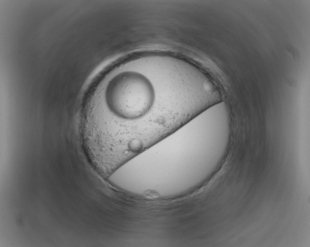 X0000114411216200910161024
