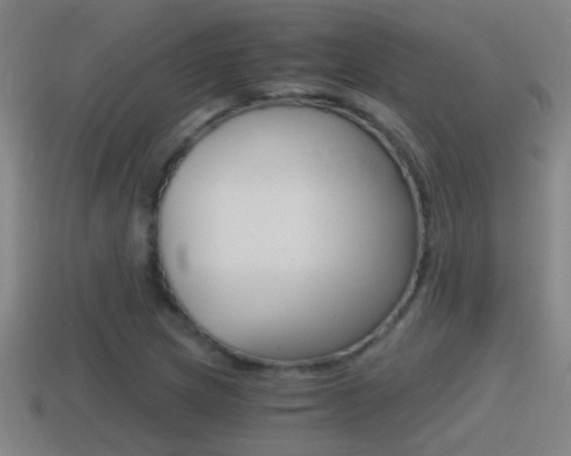 X0000114411217200910161024