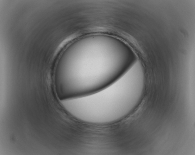 X0000114411218200910161024