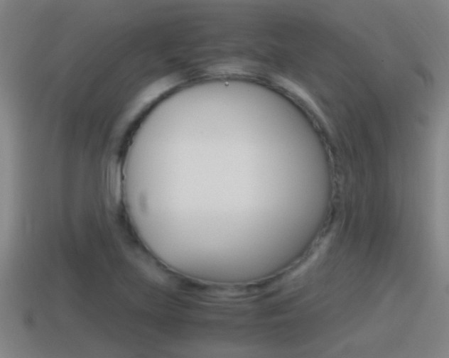 X0000114411219200910161024