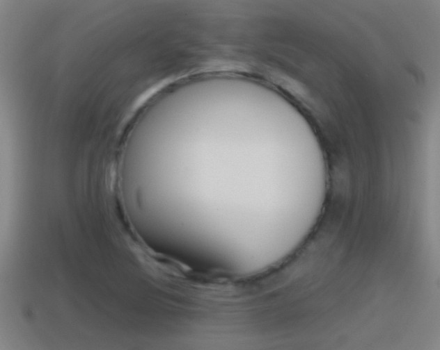 X0000114411220200910161024