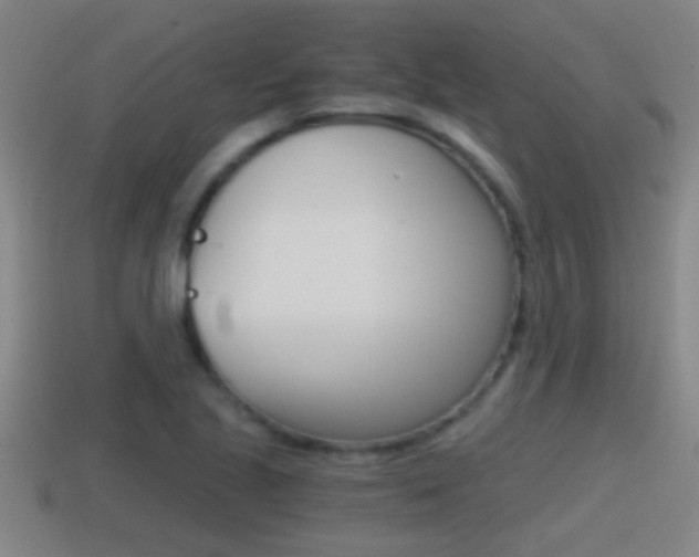 X0000114411221200910161024