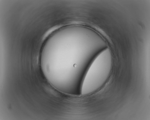 X0000114411222200910161024