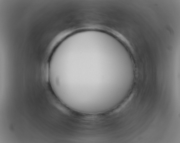 X0000114411223200910161024