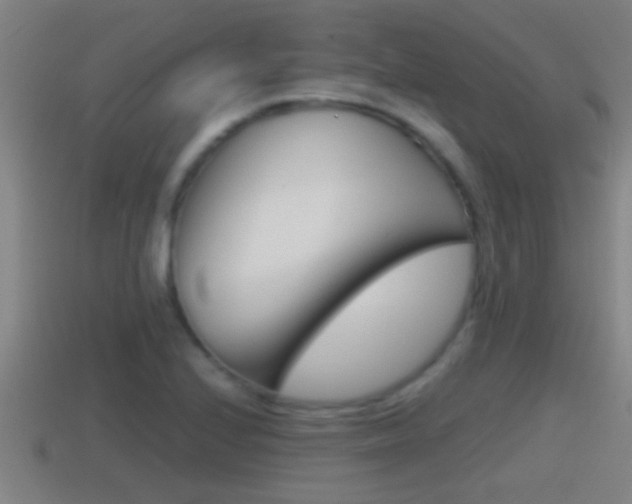 X0000114411224200910161024