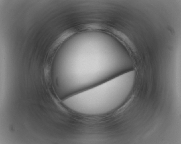 X0000114411225200910161024