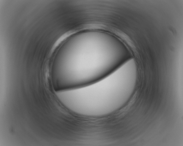 X0000114411226200910161024