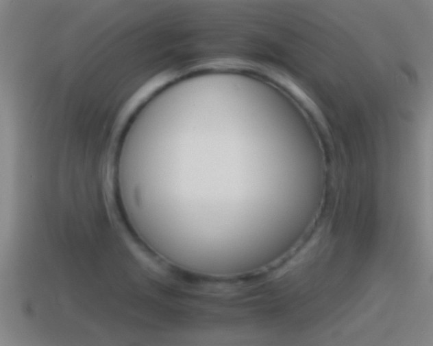 X0000114411229200910161024