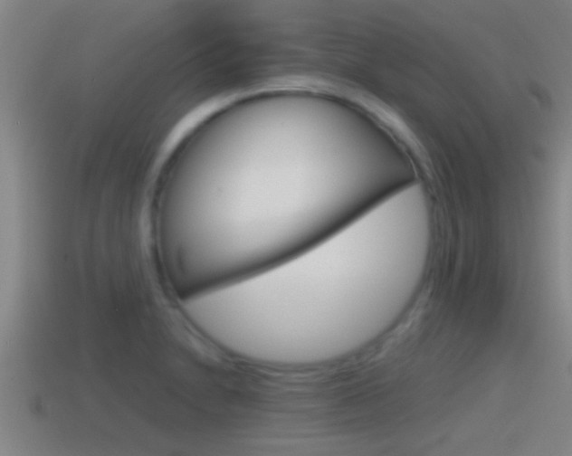 X0000114411230200910161024