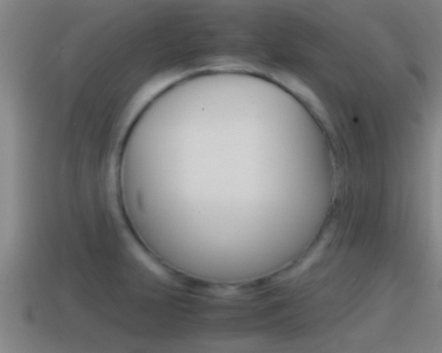 X0000114411231200910161024