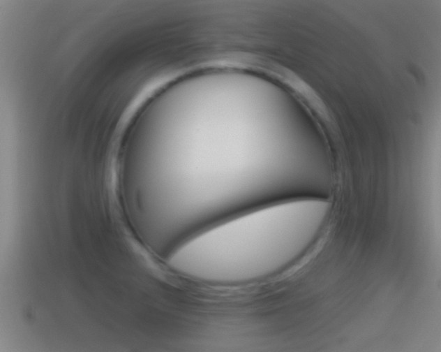 X0000114411232200910161024