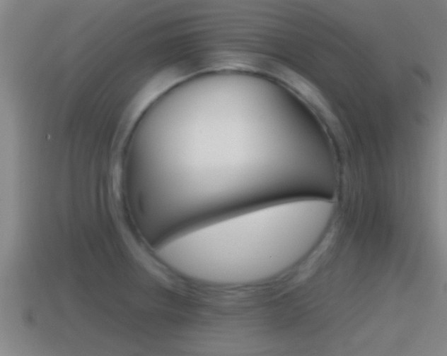 X0000114411234200910161024