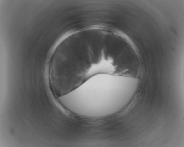 X0000114411235200910161024