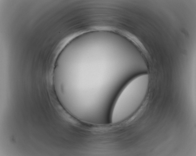 X0000114411236200910161024