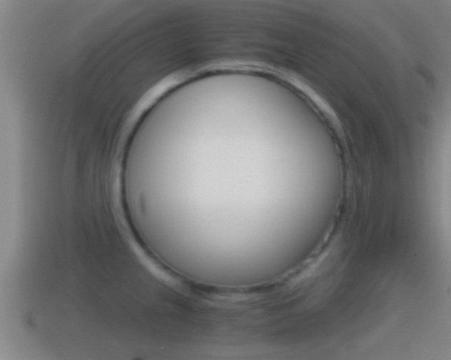X0000114411237200910161024