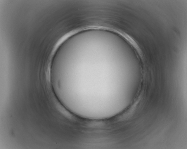 X0000114411238200910161024