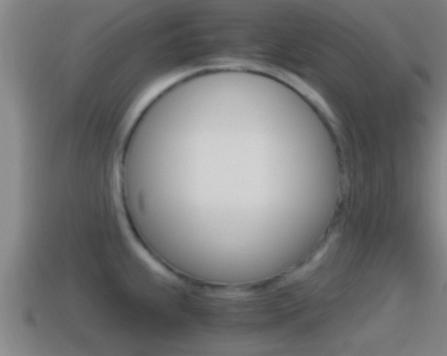 X0000114411239200910161024