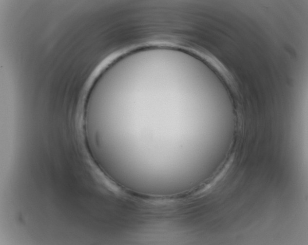X0000114411240200910161024