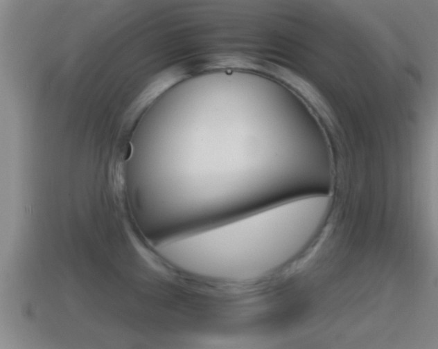 X0000114411241200910161024