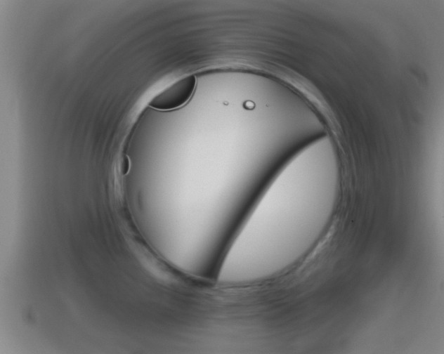 X0000114411242200910161024