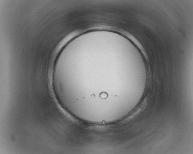 X0000114411245200910161024
