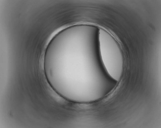 X0000114411246200910161024