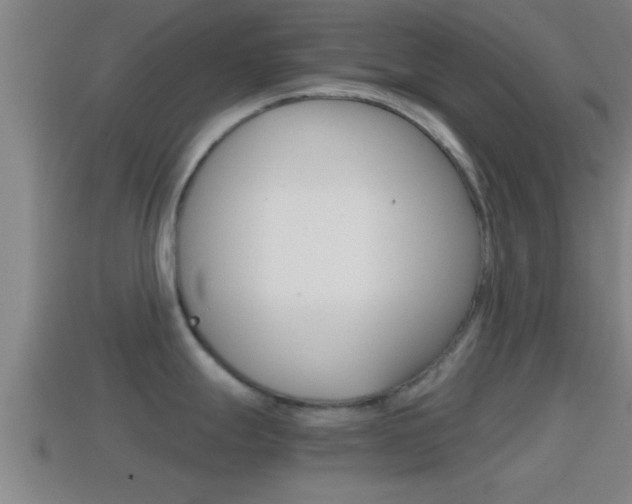 X0000114411247200910161024