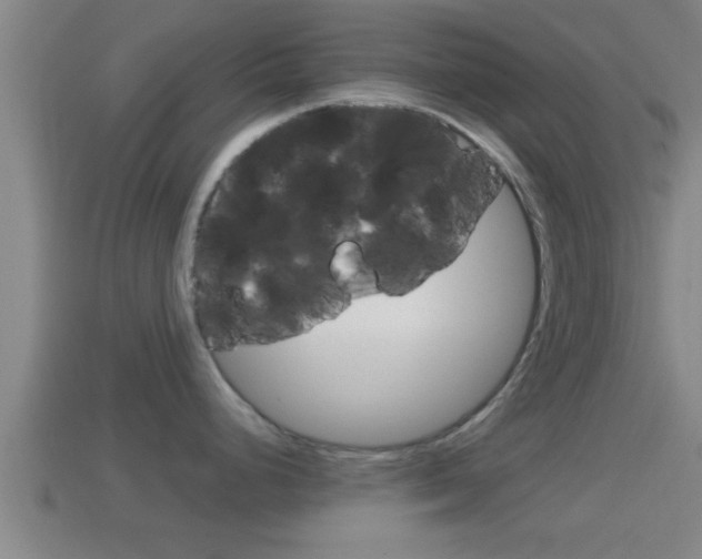X0000114411248200910161024