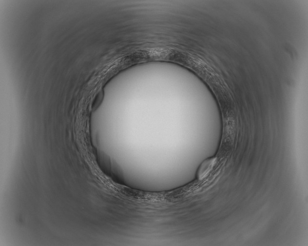 X0000114411249200910161024