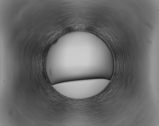 X0000114411250200910161024