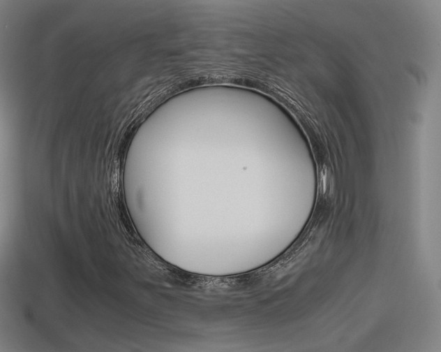X0000114411251200910161024