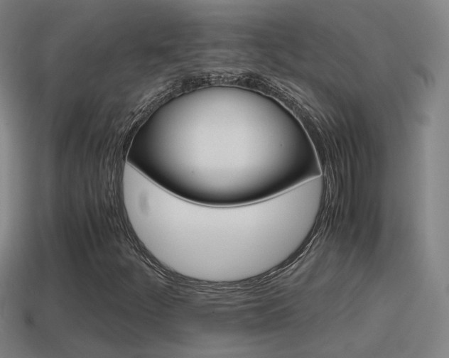 X0000114411252200910161024