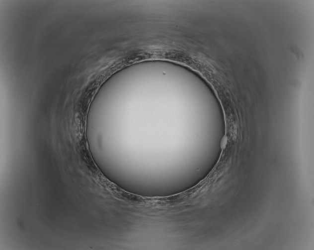 X0000114411253200910161024