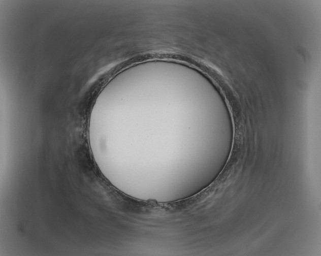 X0000114411255200910161024